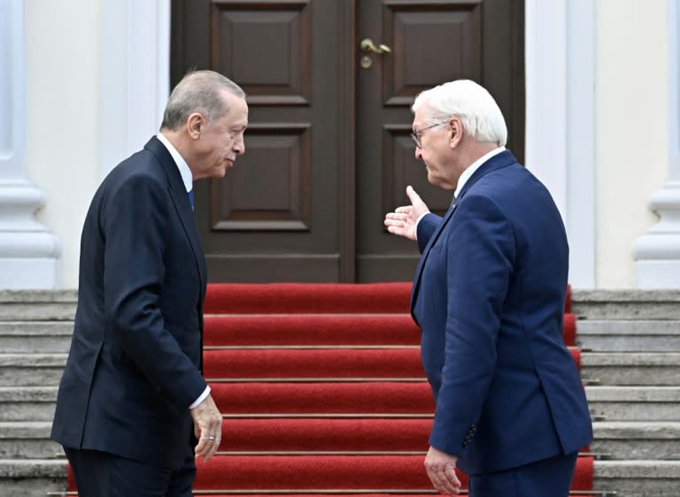 Bundespräsident Frank-Walter Steinmeier reist am Montag zu seinem ersten Besuch seit Amtsantritt vor sieben Jahren in die Türkei. (Tobias SCHWARZ)