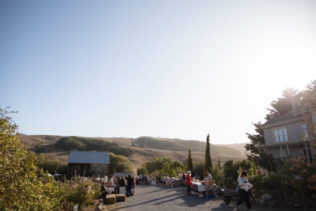 Chileno Valley Ranch in Northern California is a Fibershed partner that uses regenerative practices to draw down carbon from the atmosphere and store it in soil and organic matter. Photo: Paige Green Photography