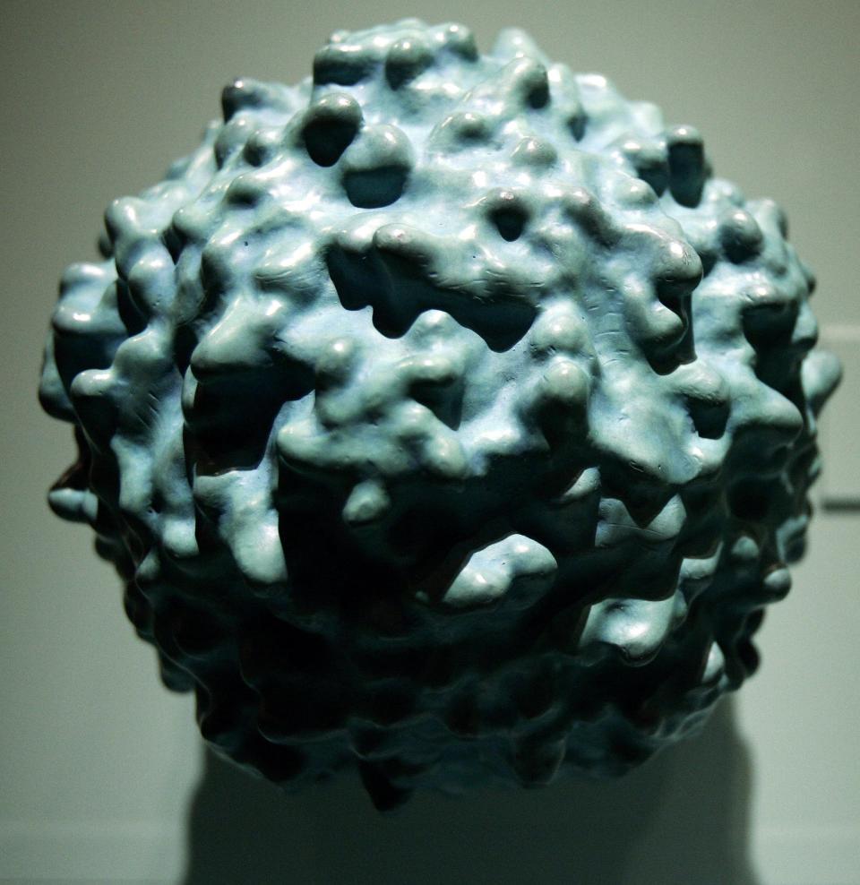 A sculpture of the polio virus, seven million times the size of the actual virus, is seen at the Smithsonian's National Museum of American History in Washington on April 11, 2005.