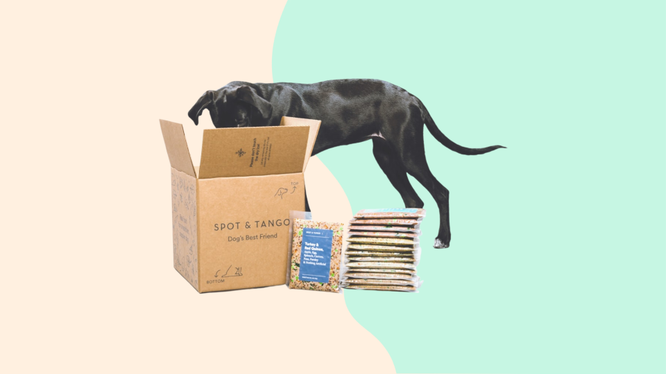 Save 50% on your first order of Spot and Tango meals for your dog.