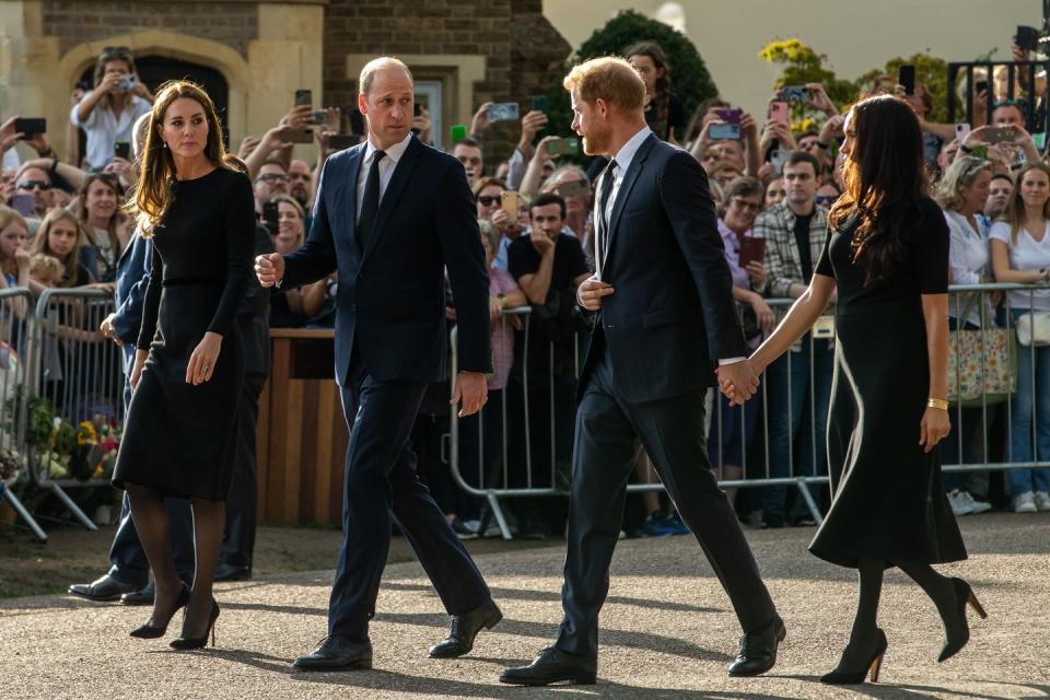 Photo credit: Mark Kerrison - Getty Images