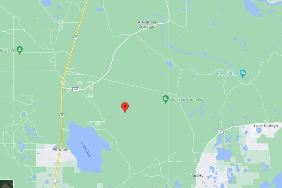 The pin on this screenshot of Google Maps shows where the forest fire was reported.