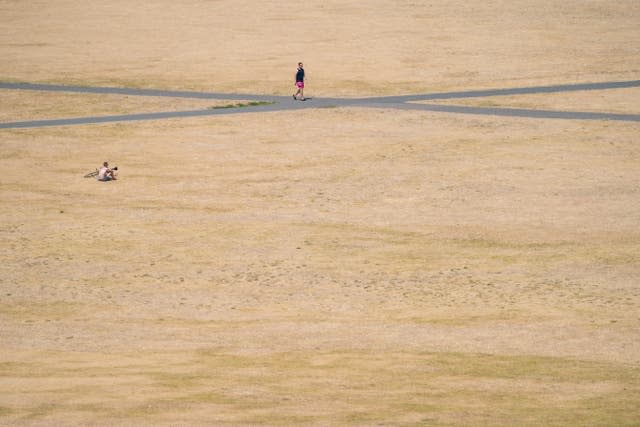 A person walks through Greenwich Park, London, whose grass is parched in the dry conditions