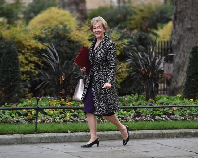 Andrea Leadsom