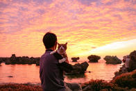 <p>Daisuke Nagasawa watches the sun set with his cat Daikichi on a beautiful Japanese beach. (Photo: Daisuke Nagasawa/Caters News) </p>