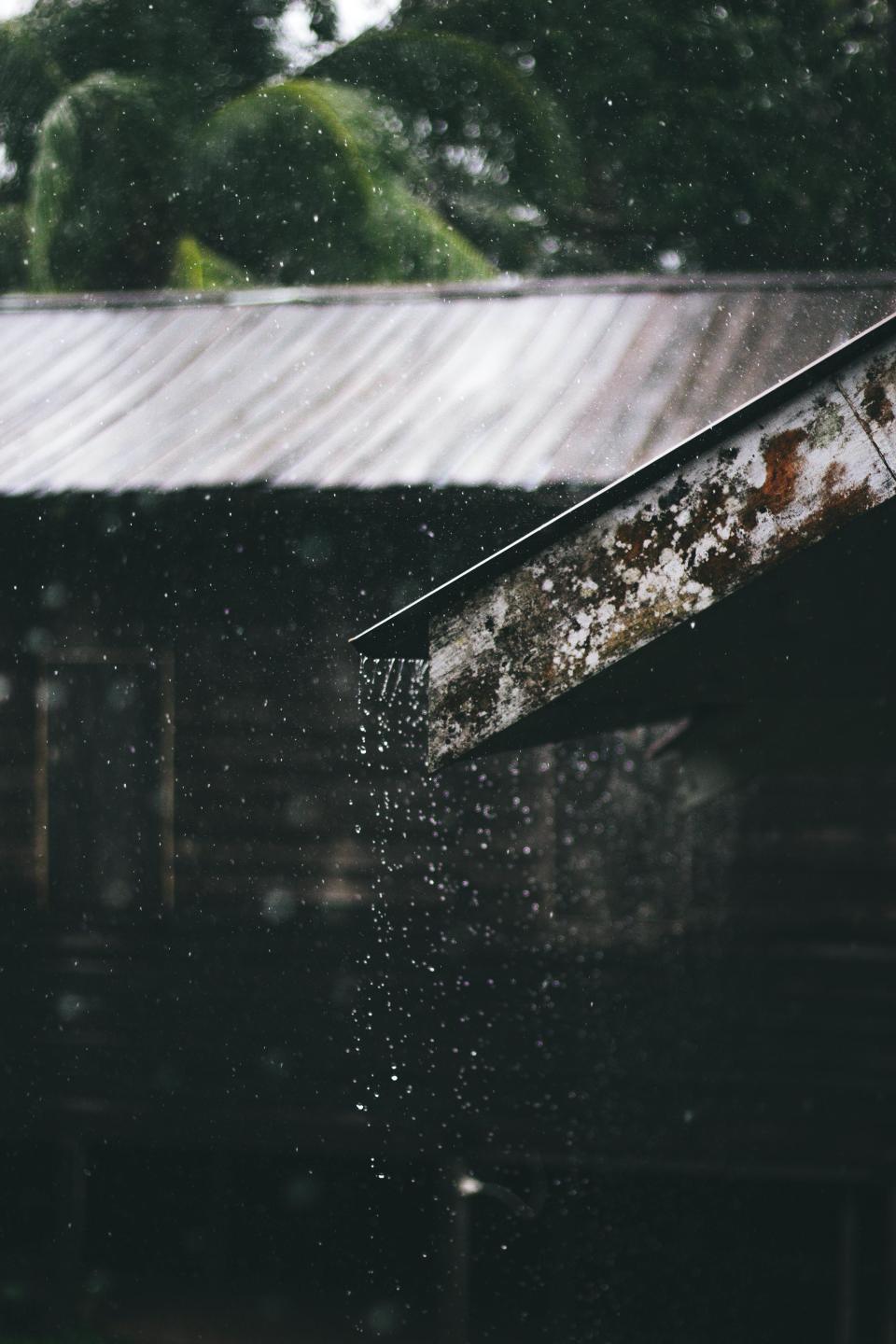 夢到雨水降臨，代表好運即將發生。