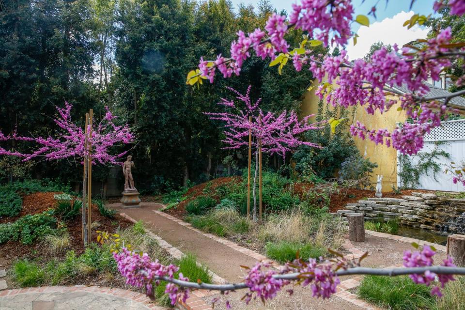 This newly re-landscaped home in Hollywood Hills West is featured in two garden tours: the Theodore Payne Foundation's event March 28-29 and the Association of Professional Landscape Designers' tour on April 4. The design, by Shawn Maestretti of Studio Petrichor, includes paths framed by water-saving hugelkultur berms, a waterfall and a lush collection of colorful native plants.