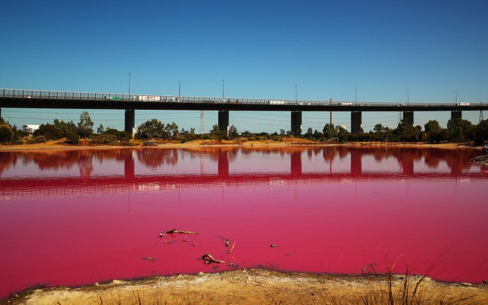 Wir bleiben in Australien: Im Westgate Park in Melbourne ändert dieser See immer wieder seine Farbe. Regnet es wenig und scheint die Sonne häufig, wird durch die Algen im See jede Menge Beta Carotin produziert. Ändert sich das Wetter, wird der See aber auch ganz schnell wieder "normal". (Bild: 2019 Getty Images/Scott Barbour)