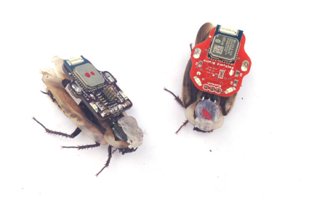 Control Cockroach With IPhone: Exploring The Power Of Technology In Pest Management