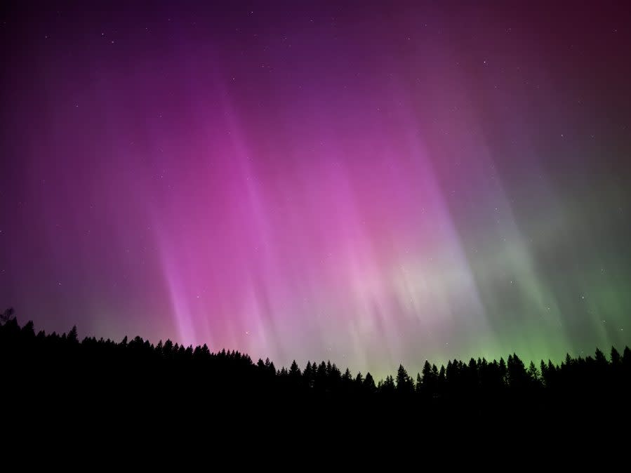 The Northern Lights from Battle Ground State Park in Washington on May 11, 2024. (Courtesy: Alyssa Chervenka)