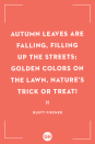 <p>Autumn leaves are falling, filling up the streets; golden colors on the lawn, nature's trick or treat!</p>