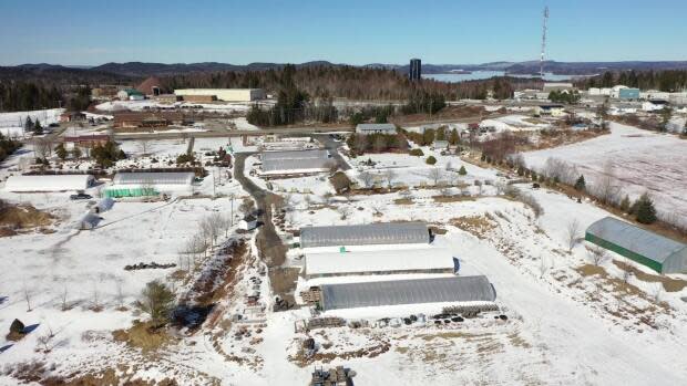 Over more than 30 years, Detorakis and his wife Naucika Krasanak have built Canada Green Nursery and Garden Centre in St. George.