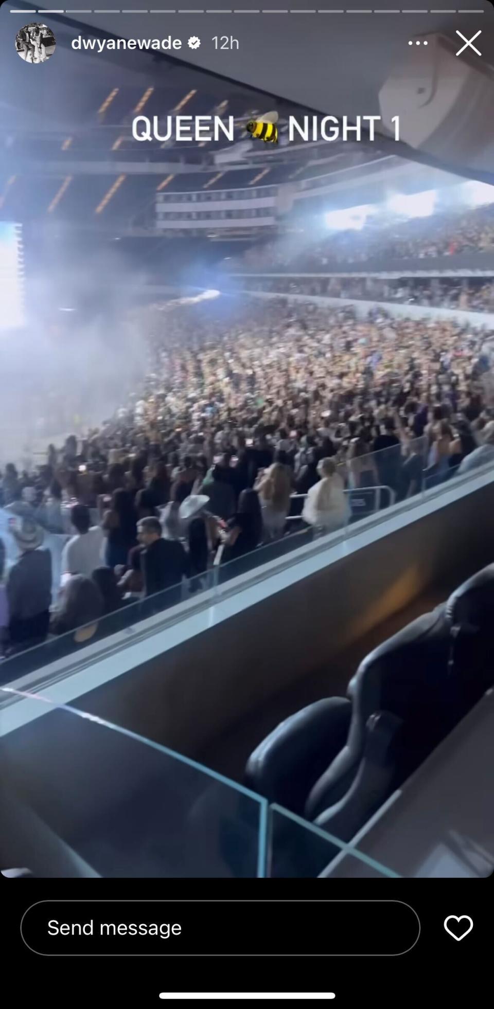 Dwyane Wade shared a photo of the crowd at Beyonce's LA concert. (@dwyanewade on Instagram)