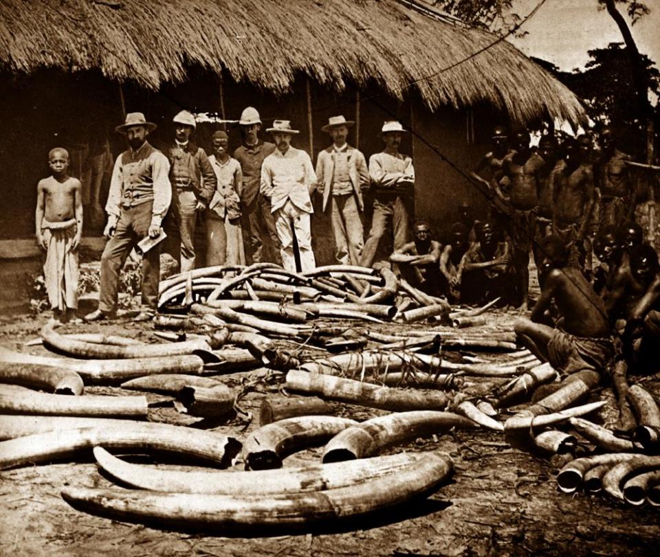 The Belgian Congo was a centre for ivory hunting.