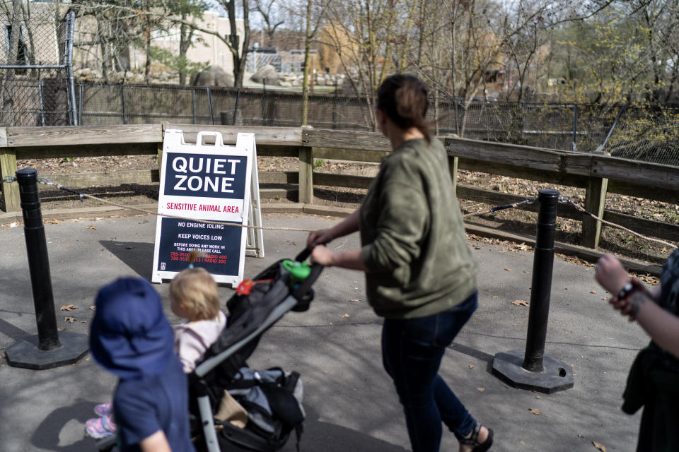 Visitors walk past the red wolf enclosure at the Roger Williams Park Zoo in Providence, R.I., Wednesday, April 12, 2023. Thanks to a network of breeding facilities like this one, there is little danger of the species going extinct. But the goal has always been a viable wild population. (AP Photo/David Goldman)