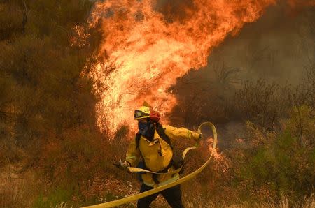 A fire fighter battles the so-called Sand Fire in the Angeles National Forest near Los Angeles, California, United States, July 25, 2016. REUTERS/Gene Blevins