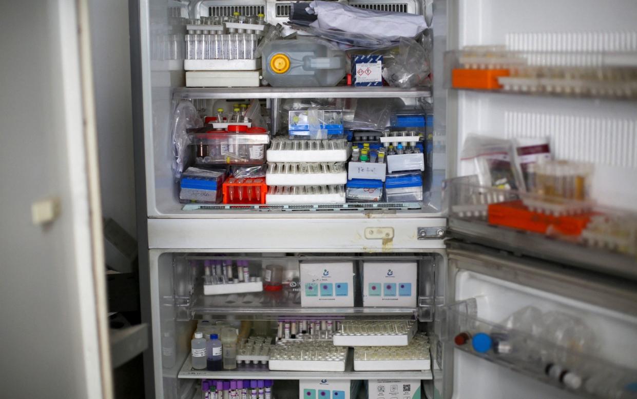 Tubes of specimens in a broken fridge at the Al Basma centre after the strike