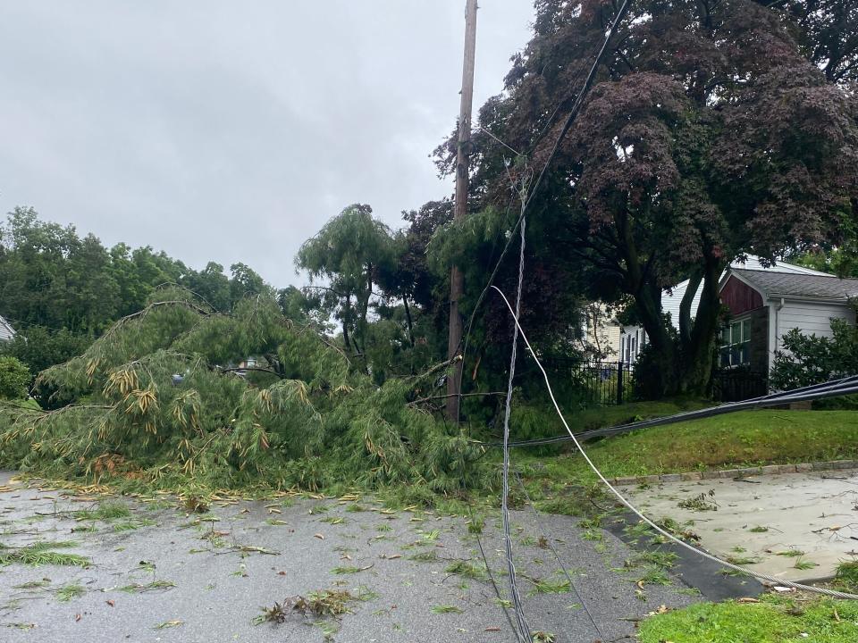 Fitzhugh Avenue in North Providence, home of Dino Florez's neighbor. Florez said it sounded “like a bomb” when the pine tree came down.
