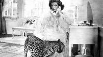 <p> <strong>The Cat:</strong>&#xA0;The baby leopard who ends up as a kind of surrogate child to Katherine Hepburn and Cary Grant in this screwball comedy. Hey, there are worse homes you could end up in </p> <p> <strong>If It Was A Dog:</strong>&#xA0;The whole plot would go out of the window. Other than that, it would probably work. </p>