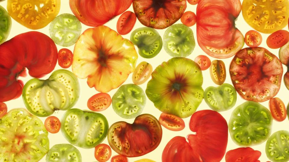 slices of various tomatoes on colored background, overhead view, studio shot