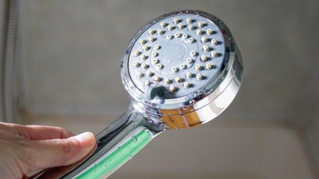 An Expert Explains How to Properly Clean a Showerhead, So You're Not  Bathing in Bacteria