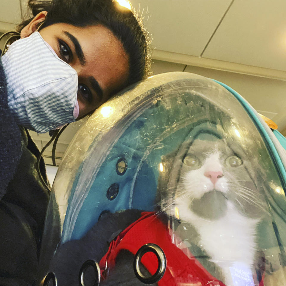 In this photo provided by Devika Ranjan, Devikia Ranjan takes a selfie with her cat Aloo at O'Hare International Airport on Nov. 21, 2020, in Chicago. Ranjan, a theater director in Chicago, wanted pandemic company and got a rescue cat she named Aloo during the summer. The formerly feral cat is believed to be around 3, and seems to be very comfortable with a slow-paced, high-attention pandemic life. (Devika Ranjan via AP)