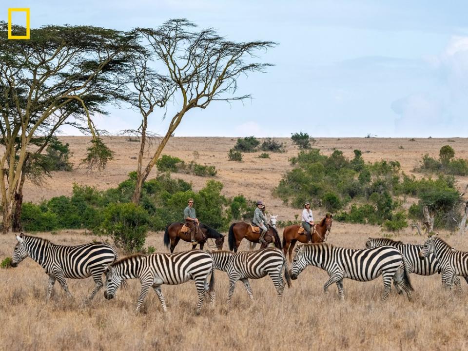 A horse safari in Kenya. Nichole Sobecki / National Geographic