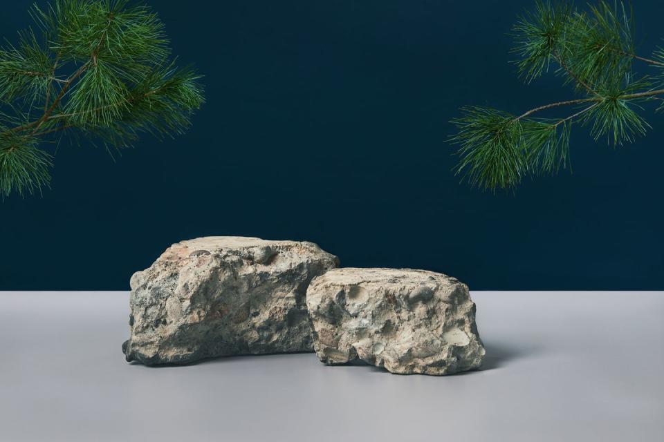 scene with empty gray stones podium and pine branches