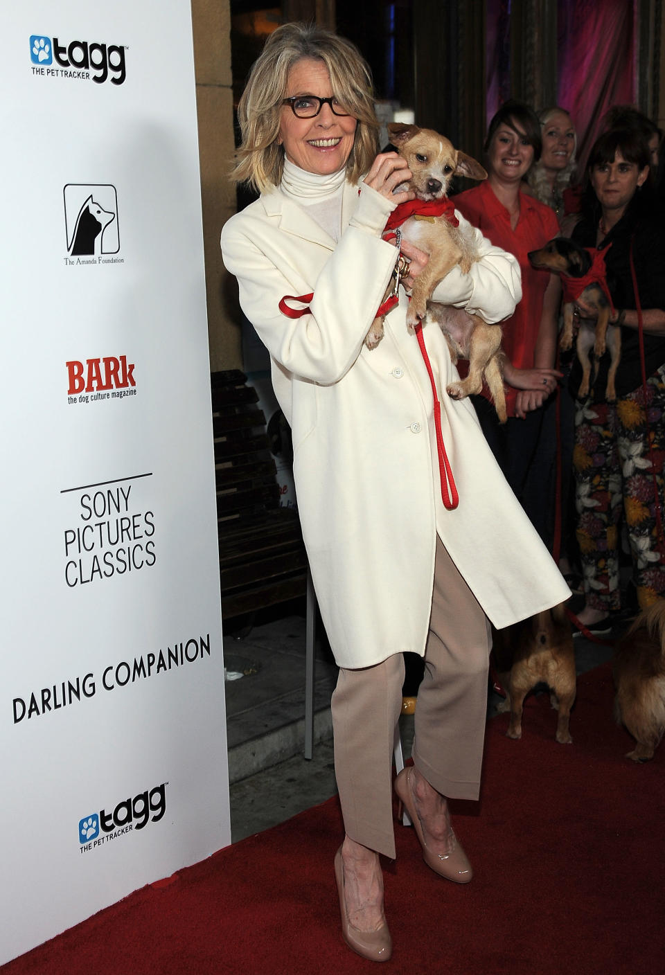 Premiere Of Sony Pictures Classics' "Darling Companion" - Arrivals