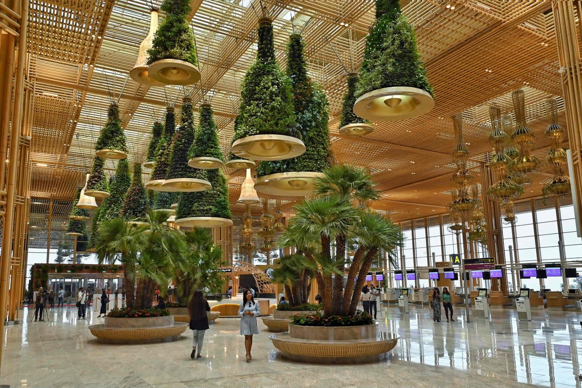 Hanging and vertical gardens at Terminal 2 of the Kempegowda International Airport in Bengaluru  (AFP via Getty Images)