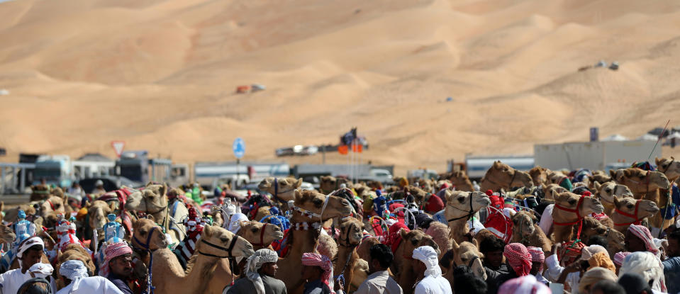 <p>Handlers prepare camels to race at the Liwa 2018 Moreeb Dune Festival on Jan. 1. (Photo: Karim Sahib/AFP/Getty Images) </p>