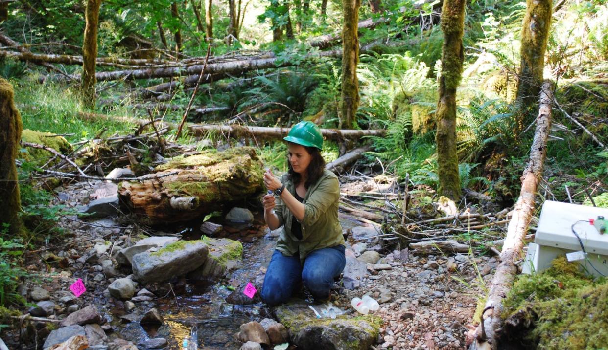 <span class="caption">Scientists have been consistently documenting environmental changes at research sites like this one in the Cascade Mountains for decades.</span> <span class="attribution"><a class="link " href="https://andrewsforest.oregonstate.edu/research/highlights/small-headwater-streams-export-carbon" rel="nofollow noopener" target="_blank" data-ylk="slk:US Forest Service;elm:context_link;itc:0;sec:content-canvas">US Forest Service</a></span>