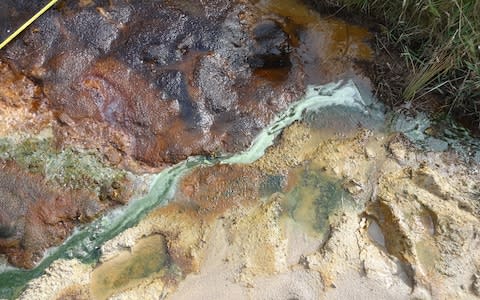 Acidic stream in Dungy Head, Lulworth Cove, on the eastern end of St Oswald's Bay - Credit: Imperial College London.  