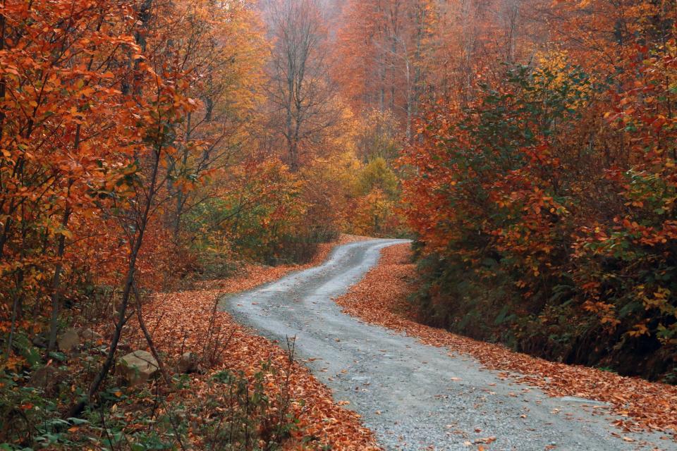 Joyful ways to welcome the arrival of autumn