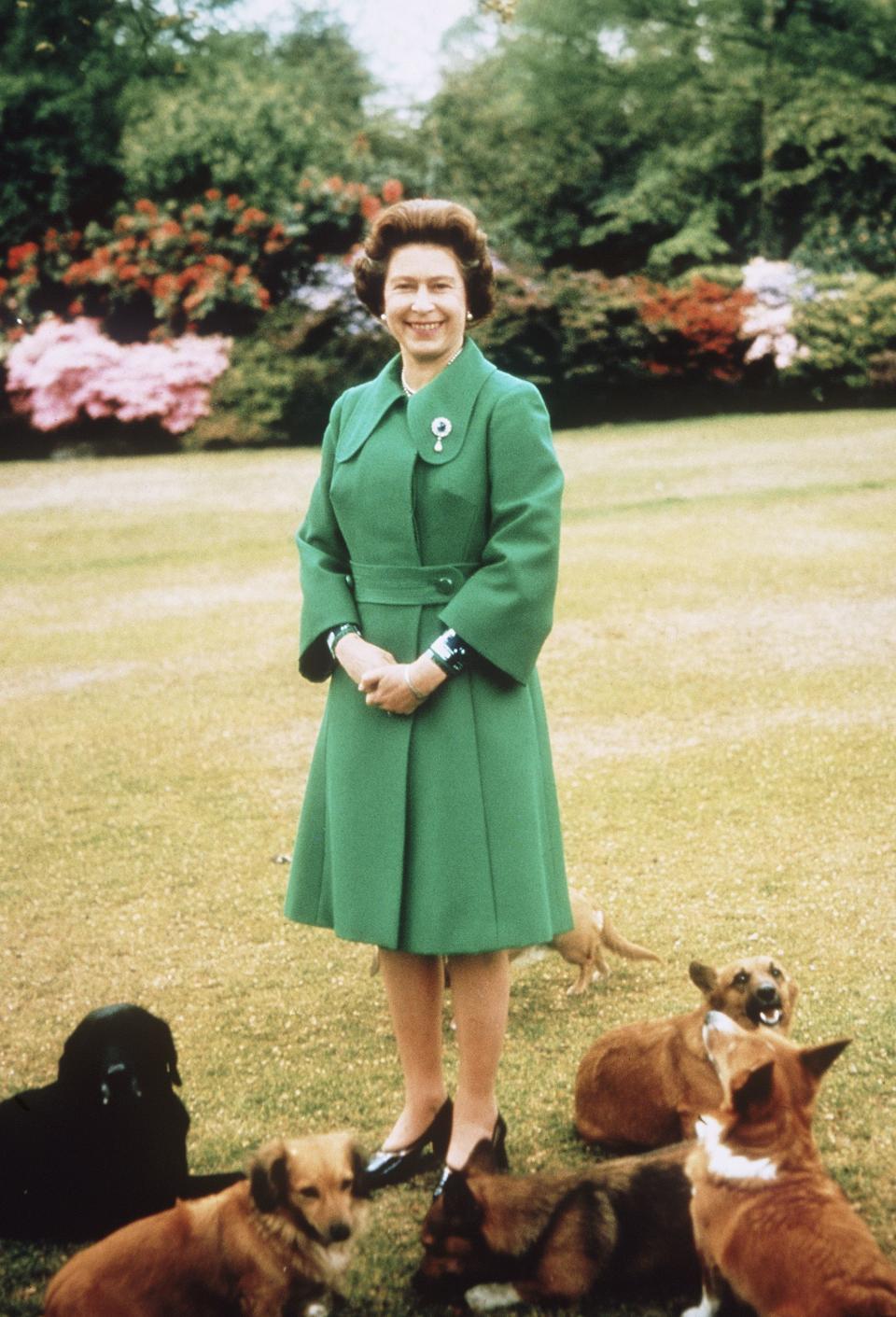 Circa 1980: Queen Elizabeth II relaxes at Sandringham with her corgis.