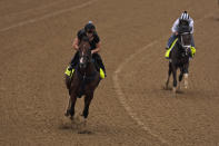 Kentucky Derby hopefuls Dornoch, front, and Endlessly work out at Churchill Downs Tuesday, April 30, 2024, in Louisville, Ky. The 150th running of the Kentucky Derby is scheduled for Saturday, May 4. (AP Photo/Charlie Riedel)