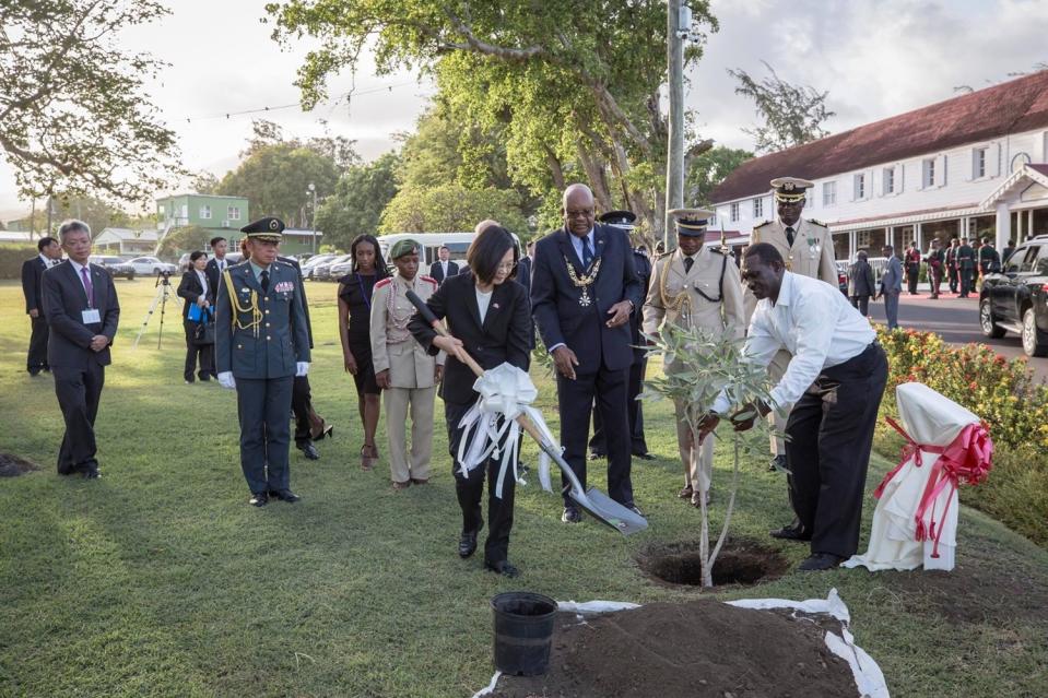 總統蔡英文出席聖克里斯多福及尼維斯總督府歡迎儀式；並共同種植「黃花風鈴木」樹苗。   圖：蔡英文臉書
