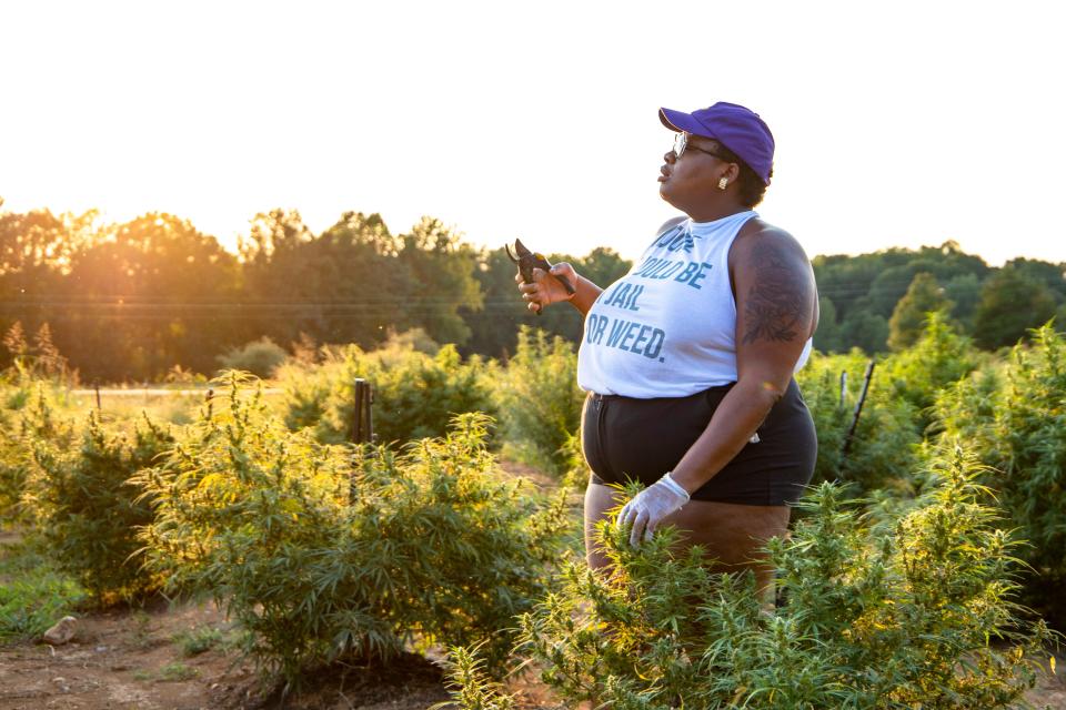 Jessamyn Stanley stands amid a cannabis farm wearing a shirt that says, "No one should be in jail for weed."