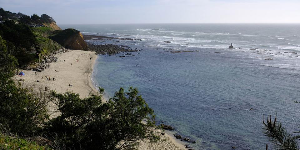 14) James V. Fitzgerald Marine Reserve — Moss Beach