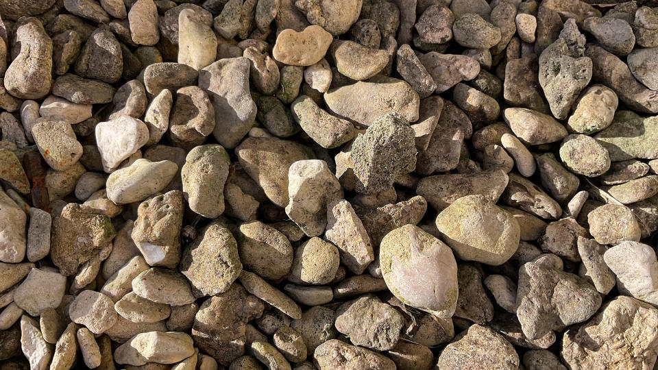 Pebbles, shot outdoors on an iPad 10.
