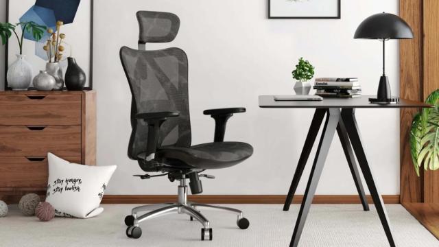 SIHOO M57 Office Chair - Black for sale online