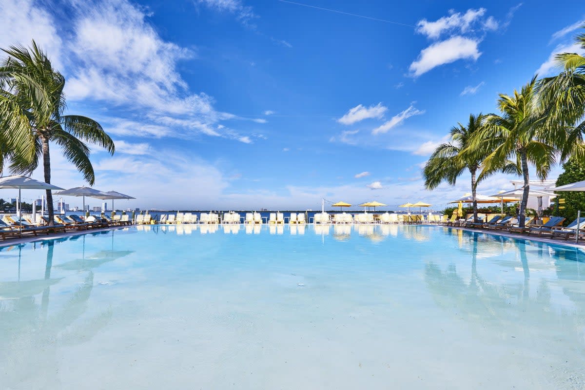 A salt-water pool surrounded by palm trees creates a tranqil spot at The Standard Spa hotel on Belle Isle (Adrian Gaut)