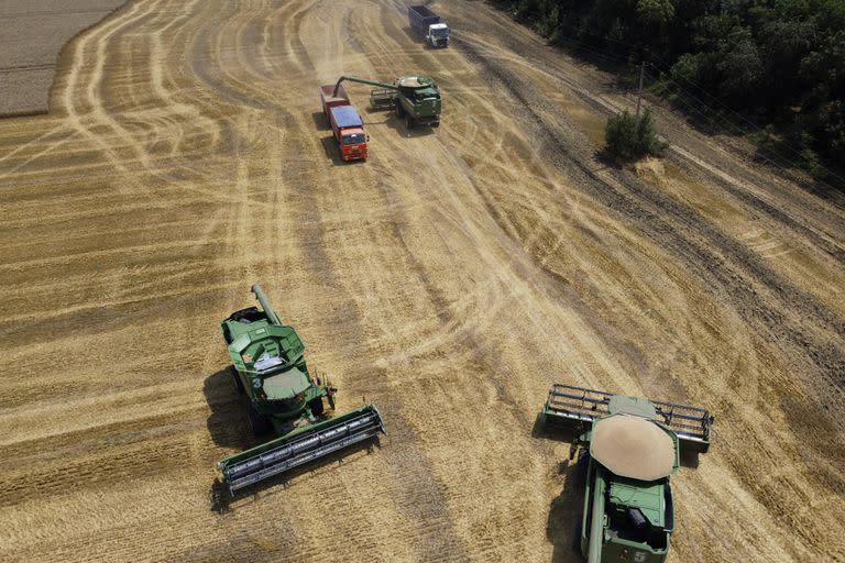 Hoy se celebra el Día del Agricultor en Argentina (AP Foto/Vitaly Timkiv, Archivo)