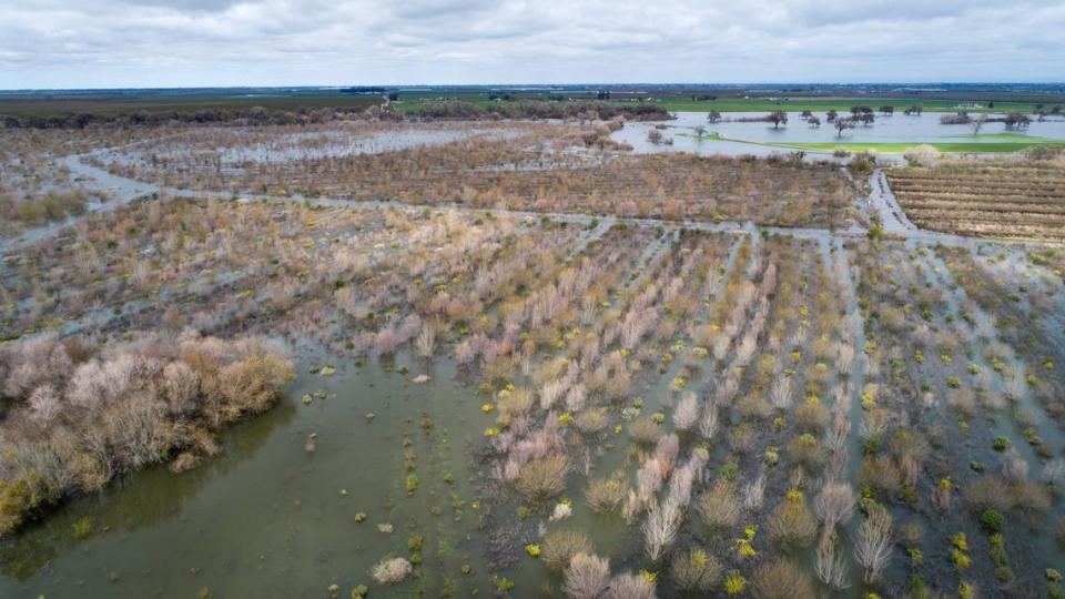 The floodplain at Dos Rios Ranch is inundated by the Tuolumne and San Joaquin rivers near Modesto, Calif., Wednesday, March 15, 2023.