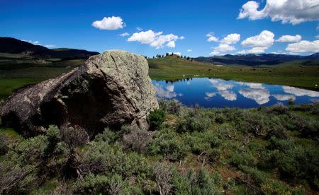 Boulders deposited by a glacial icecap dot the Lamar Valley in Yellowstone National Park, Wyoming, U.S., June 23, 2011. REUTERS/Jim Urquhart/Files