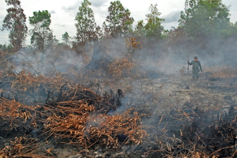 A soldier inspects a peatland forest on fire in Kampar district, Riau province, on Indonesia's Sumatra island, on August 7, 2015