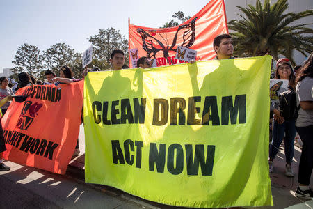 Protesters march in support of a permanent legislative solution for immigrants in Los Angeles, California, U.S. February 3, 2018. REUTERS/Monica Almeida