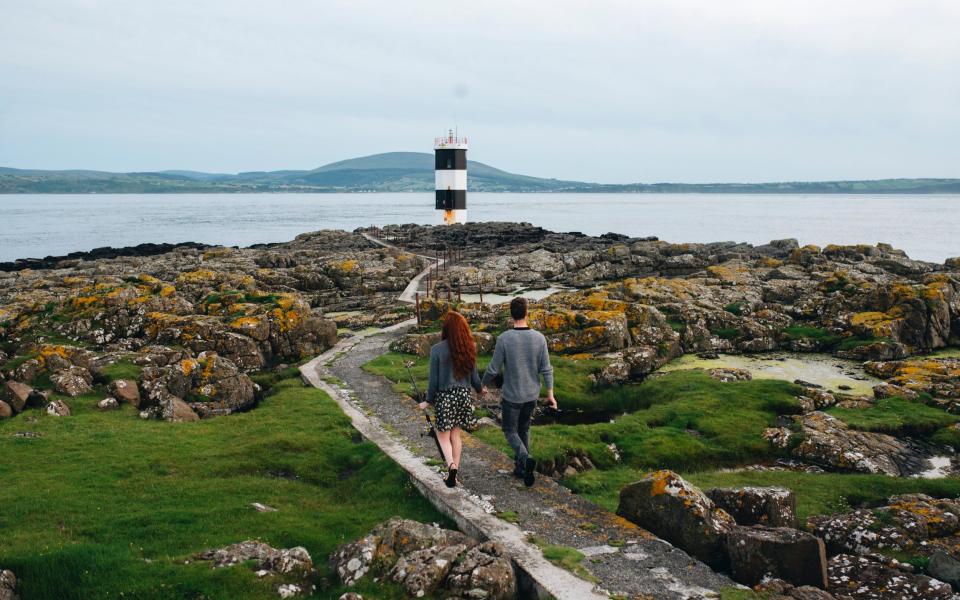 Rathlin Island is a joy for birdwatchers