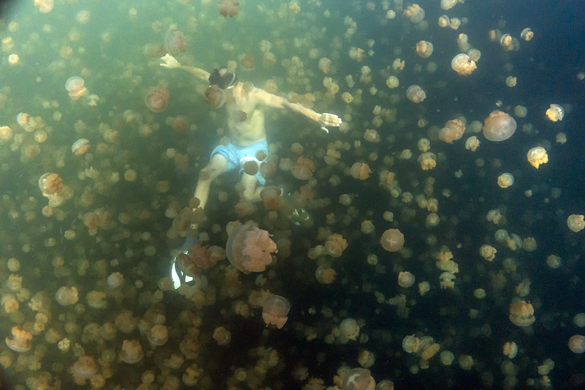 https://www.gettyimages.com/detail/news-photo/located-on-an-uninhabited-rock-island-off-the-coast-of-news-photo/509394924?adppopup=true