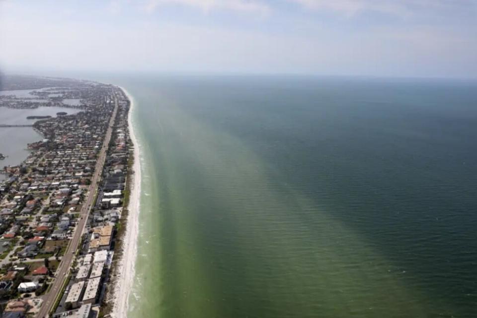 Red Tide Hits Pinellas County